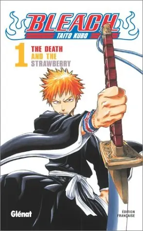 Couverture de Bleach